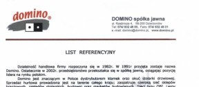 Domino